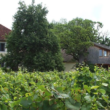 Menetru-le-Vignoble L'Entre-Coeur B&B 외부 사진